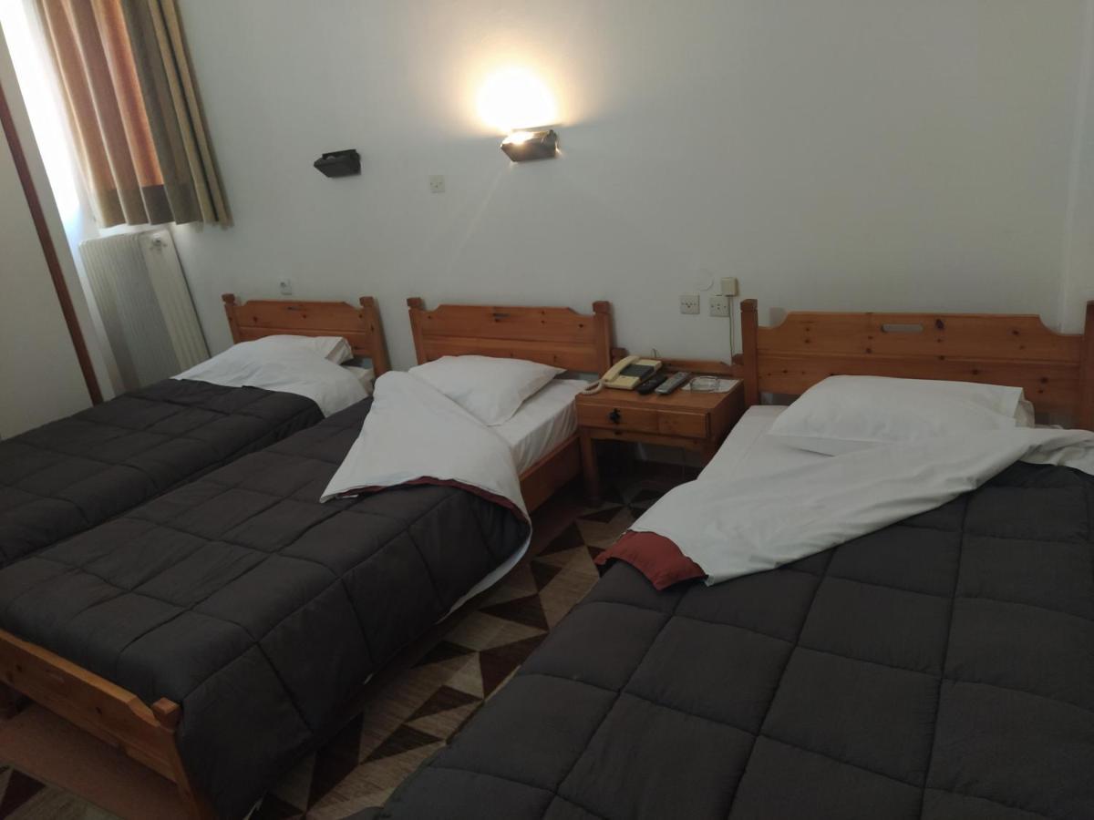 Apollon inn Arachova Esterno foto